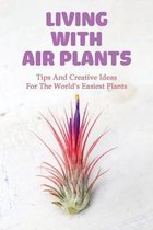 Living With Air Plants: Tips And Creative Ideas For The World's Easiest Plants