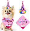Honden verjaardagset 2-delig It's my Birthday roze met feestmuts en bandana - verjaardag - hond - birthday - bandana - puntmuts