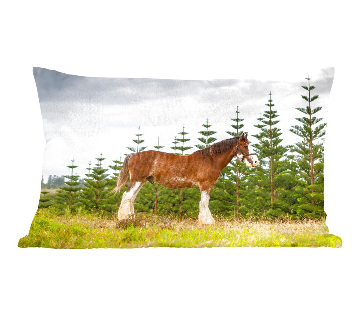 Sierkussens - Kussen - Clydesdale paard voor dennenbomen in het grasland - 50x30 cm - Kussen van katoen - PillowMonkey