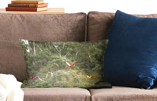 Sierkussen pour la vie forestière à l'intérieur - Perroquets dans la forêt tropicale - 50x30 cm - Coussin rectangulaire en coton