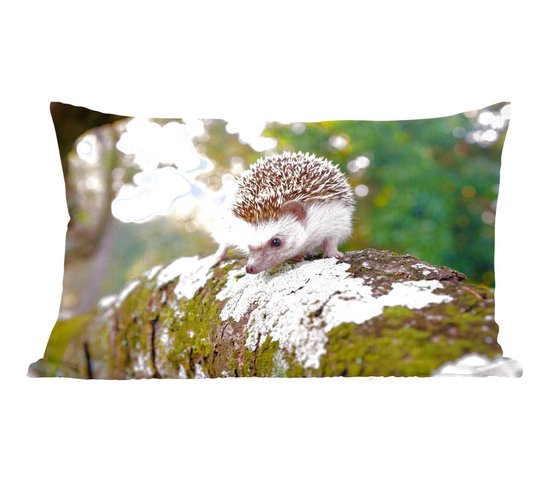 Sierkussen Hérisson pour l'intérieur - Hérisson marche sur une branche - 50x30 cm - Coussin intérieur rectangulaire en coton