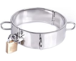 Dungeon Collar RVS