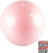 Gymstick Vivid Fitness Ball - Gymbal - Roze - 65 cm - Met Online Trainingsvideo's