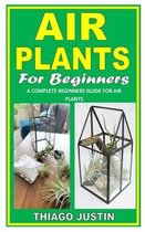 Air Plant for Beginners