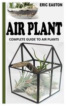 Air Plant