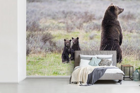Papier peint vinyle - Un grizzli regarde autour de lui pour protéger les bébés largeur 330 cm x hauteur 220 cm - Tirage photo sur papier peint (disponible en 7 tailles)