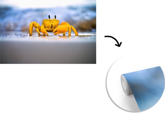Papier peint photo peint photo vinyle - Crabe coloré sur le sable largeur 600 cm x hauteur 400 cm - Tirage photo sur papier peint (disponible en 7 tailles)