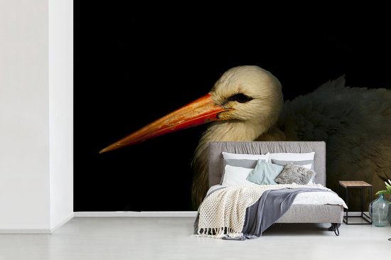 Papier peint Papier peint photo en vinyle - Portrait photo oiseau sur fond noir largeur 360 cm x hauteur 240 cm - Tirage photo sur papier peint (disponible en 7 tailles)