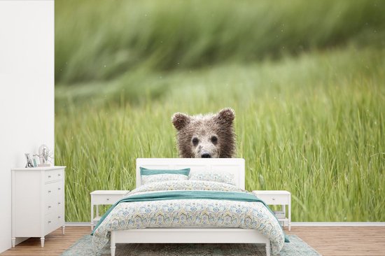 Papier peint photo peint photo vinyle - Ours Grizzly en herbe haute largeur 420 cm x hauteur 280 cm - Tirage photo sur papier peint (disponible en 7 tailles)