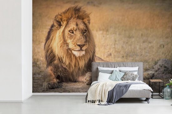 Papier peint - Papier peint photo Papier peint photo - Gros plan - Savane - Largeur 600 cm x hauteur 400 cm