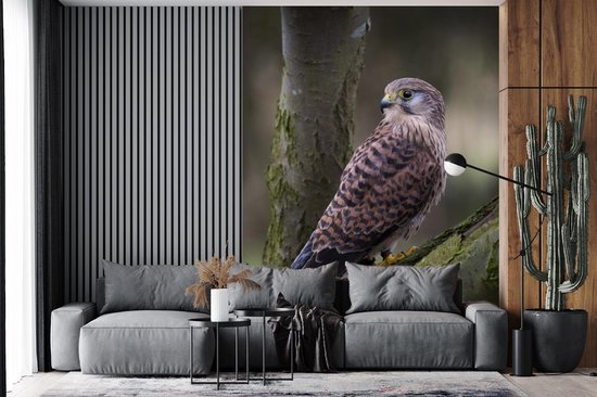 Behang - Fotobehang Valk - Bos - Tak - Breedte 190 cm x hoogte 260 cm