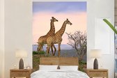 Behang - Fotobehang Giraffes - Lucht - Landschap - Breedte 195 cm x hoogte 300 cm