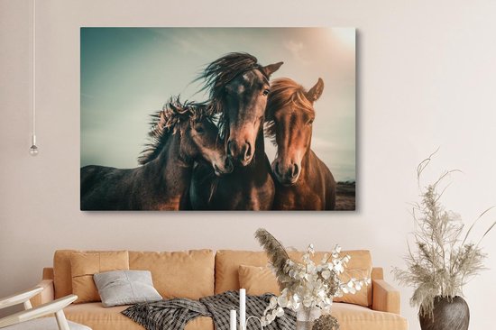 Tableau sur toile Paarden - Gros plan - Soleil - 150x100 cm - Décoration murale