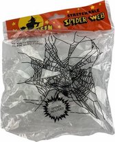 Halloween decoratie Spinnenweb met spin