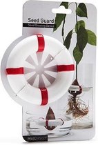Peleg Design Seed Guard Seed Growing Device - Grow Your Own Avocados!