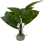 Aquariumplant kunstplant Anubias 1 groen 24 cm