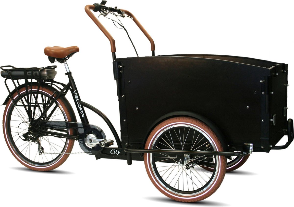 Troy Elektrische Bakfiets - Elektrische Fiets - Unisex - Matzwart - 20 Inch  | bol.com