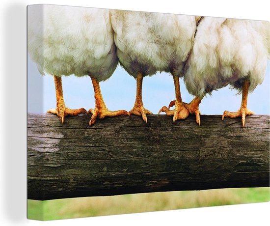 Tirage photo cuisses de poulet Toile 180x120 cm - Tirage photo sur toile ( Décoration