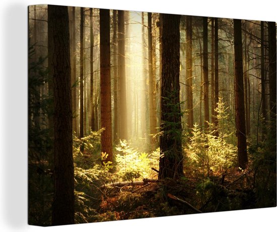 Canvas schilderij 140x90 cm - Wanddecoratie Bos - Bomen - Zon - Muurdecoratie woonkamer - Slaapkamer decoratie - Kamer accessoires - Schilderijen