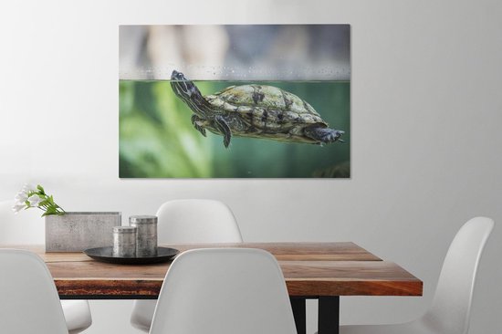 Photo en gros plan de toile de tortue 60x40 cm - Tirage photo sur toile peinture (Décoration murale salon / chambre) / Peintures sur toile Animaux