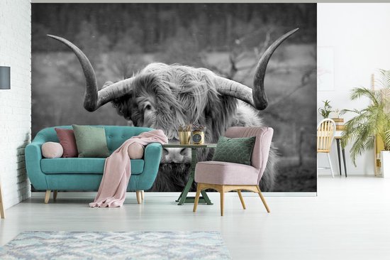 Behang - Fotobehang Schotse hooglander kijkt recht in camera - zwart wit - Breedte 360 cm x hoogte 240 cm