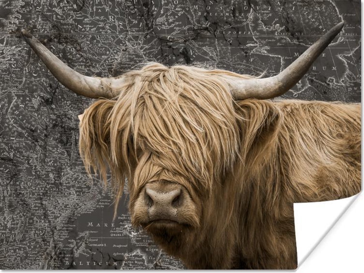 Wanddecoratie - Wereldkaart - Dieren - Schotse hooglander - 120x90 cm - Poster