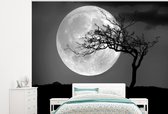 Behang - Fotobehang Silhouet van een boom voor de volle maan aan de hemel - zwart wit - Breedte 300 cm x hoogte 240 cm