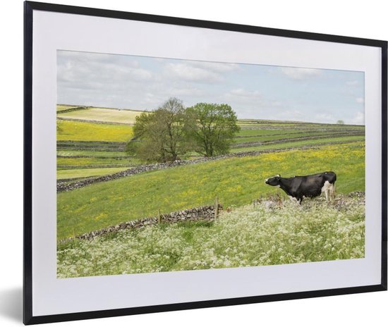 Photo en cadre - Cadre photo Fleurs dans le pré de la vache frisonne noir avec passe-partout blanc 60x40 cm - Affiche sous cadre (Décoration murale salon / chambre)