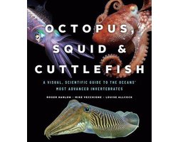 Omslag van Octopus, Squid, and Cuttlefish
