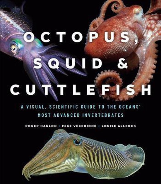 Octopus, Squid, and Cuttlefish - cover