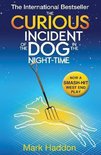 Curious Incident of the Dog in the Night