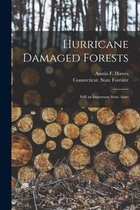 Hurricane Damaged Forests