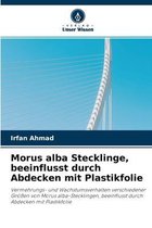 Morus alba Stecklinge, beeinflusst durch Abdecken mit Plastikfolie