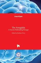 The Amygdala