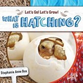 Let's Go! Let's Grow!- What Is Hatching?