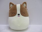 Squishmallows Regina the Corgi 19cm