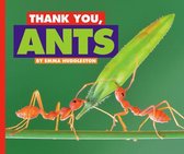 Thank You, Ants