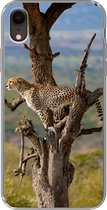 Coque iPhone XR - Léopard - Arbre - Animal - Siliconen
