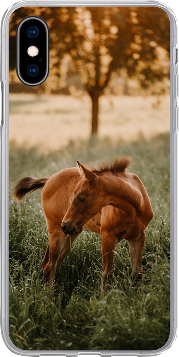 Telefoonhoesje Geschikt voor iPhone X hoesje - Paard - Gras - Boom - Siliconen Telefoonhoesje Telefoonhoesje