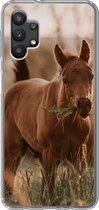 Coque Samsung Galaxy A32 5G - Cheval - Soleil - Herbe - Siliconen