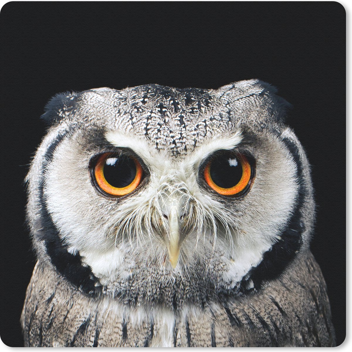 Muismat 20x20 cm - Mousepad Close-up uil - Muismatten