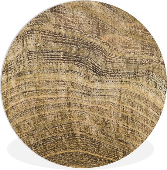 WallCircle - Peinture - Structure Une Planche Avec Anneaux De Croissance - Multicolore - 60 X 60 Cm