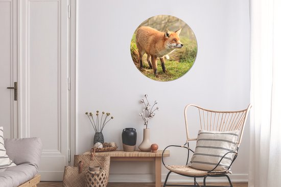 Papier Peint Cercle - Renard - Forêt - Lumière - 50x50 cm - Cercle Mural - Auto-Adhésif - Autocollant Papier Peint Rond