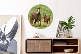 WallCircle - Wandcirkel ⌀ 60 - Paarden - Gras - Bruin - Ronde schilderijen woonkamer - Wandbord rond - Muurdecoratie cirkel - Kamer decoratie binnen - Wanddecoratie muurcirkel - Woonaccessoires