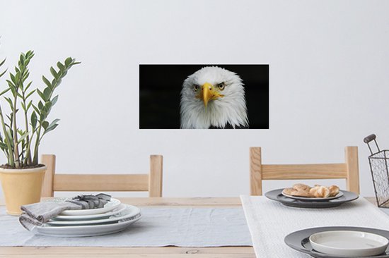 Stickers muraux - Film autocollant - Aigle - Zwart - Wit - 40x20 cm - Film adhésif - Stickers muraux Chambre d'enfant - Papier peint autocollant - Papier peint autocollant - Film autocollant