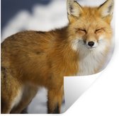 Stickers Stickers muraux - Renard - Neige - Rouge - 100x100 cm - Feuille adhésive XXL