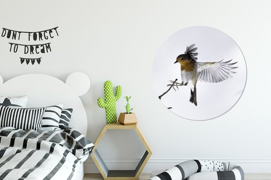 WallCircle - Wandcirkel - Muurcirkel - Close-up vogel - Aluminium - Dibond - ⌀ 90 cm - Binnen en Buiten