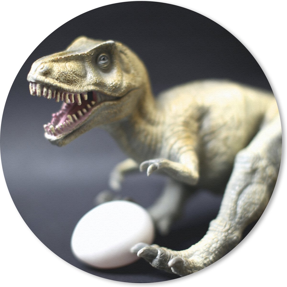 Muismat rond 30x30 cm - Mousepad Dinosaurus - Ei - Wit - Ronde muismatten