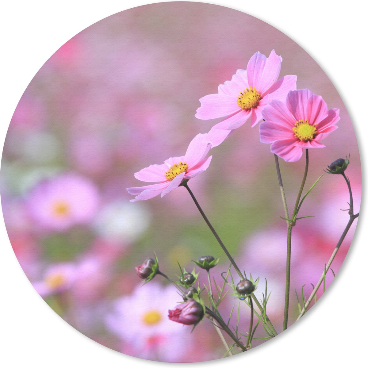 Muismat rond 20x20 cm - Mousepad Bloemen - Buiten - Roze - Ronde muismatten