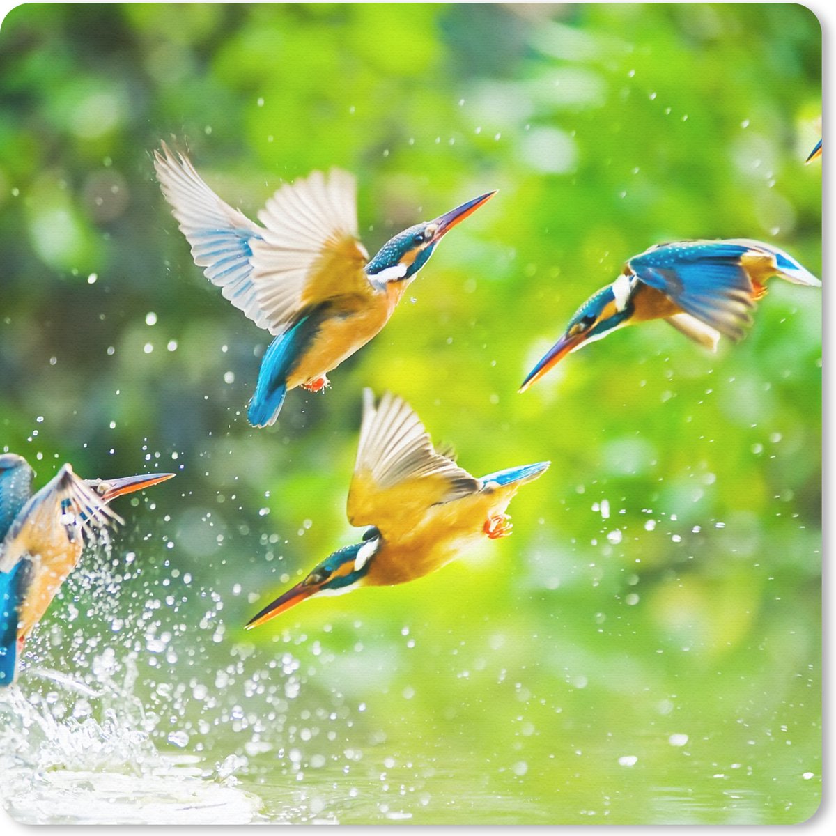 Muismat - Mousepad - Vogels - IJsvogel - Dieren - Water - 30x30 cm - Muismatten